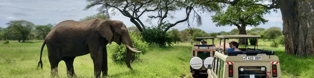 Rondreizen Tanzania