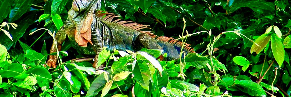 Van peuter tot tiener - hoe de reisbehoefte verandert per leeftijd