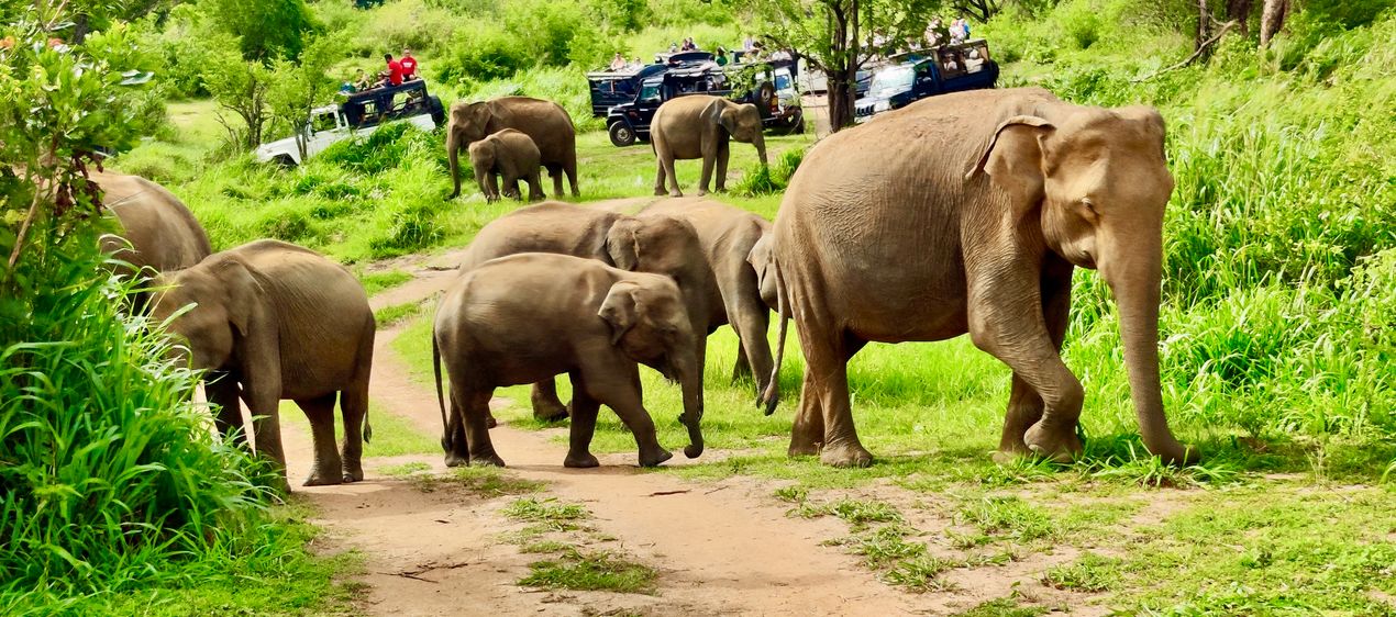 Sri Lanka