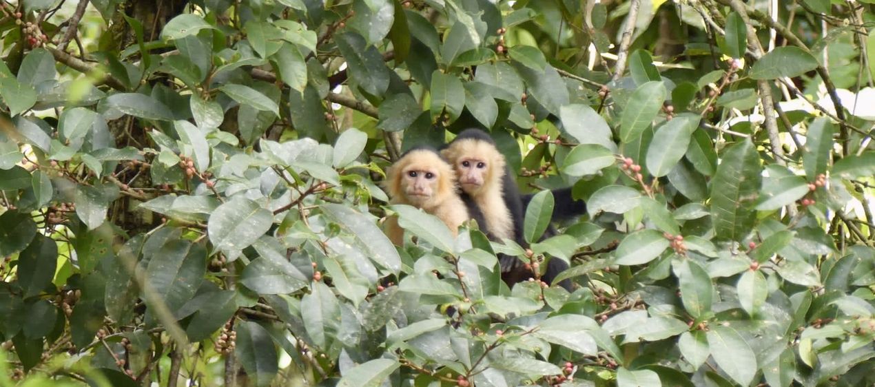 Costa Rica