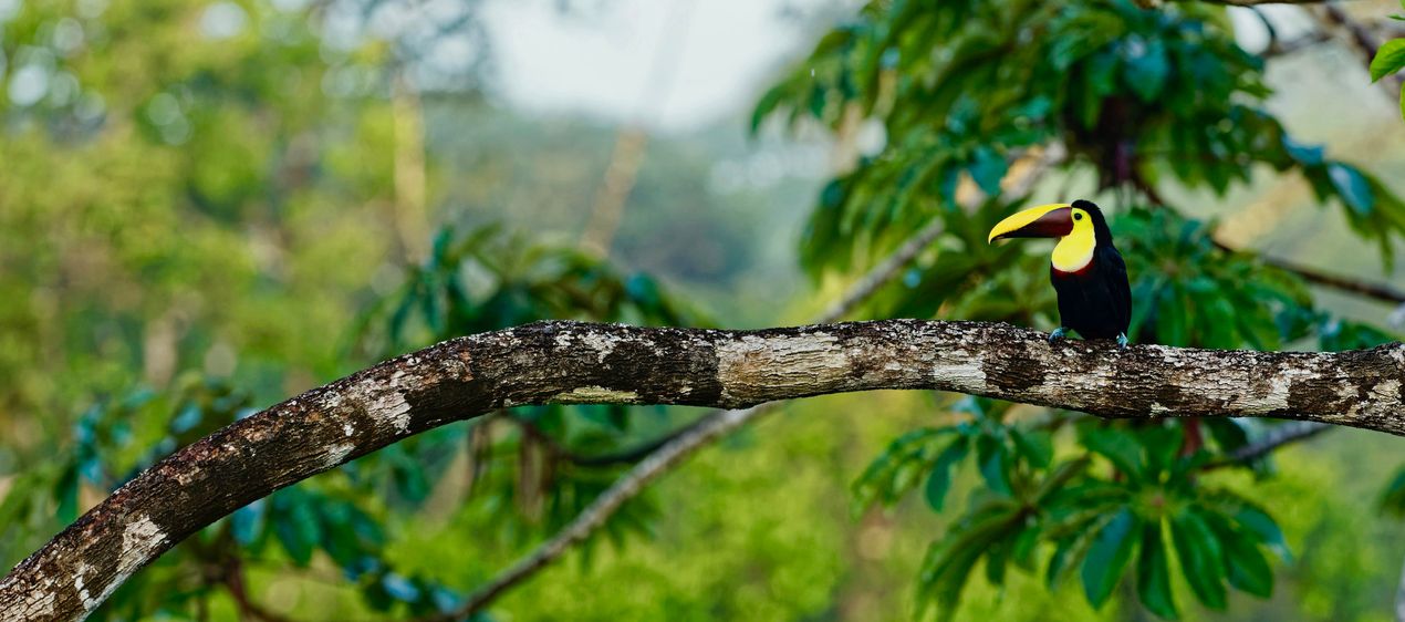 Costa Rica