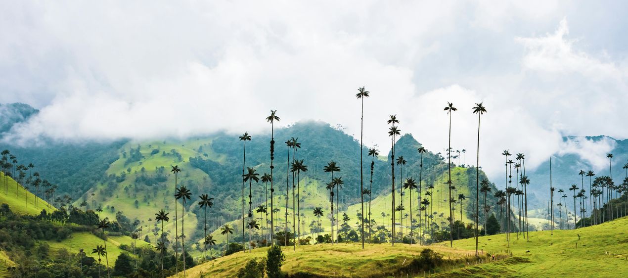 Colombia