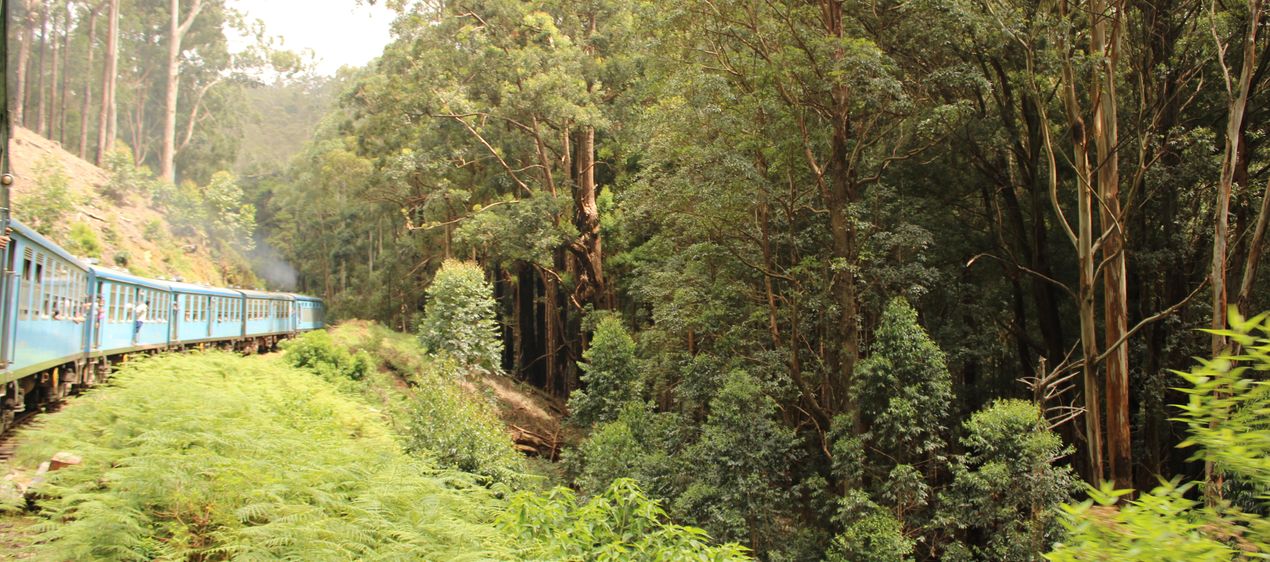 Sri Lanka