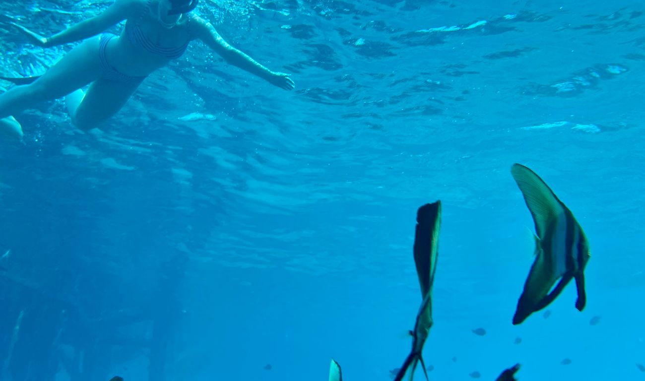 Snorkelen Bali
