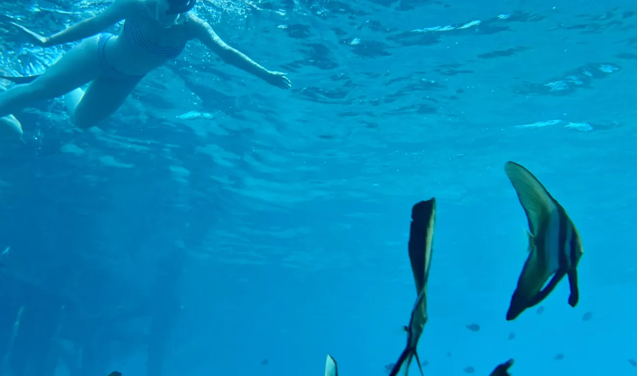 Snorkelen Bali Snorkelen Bali