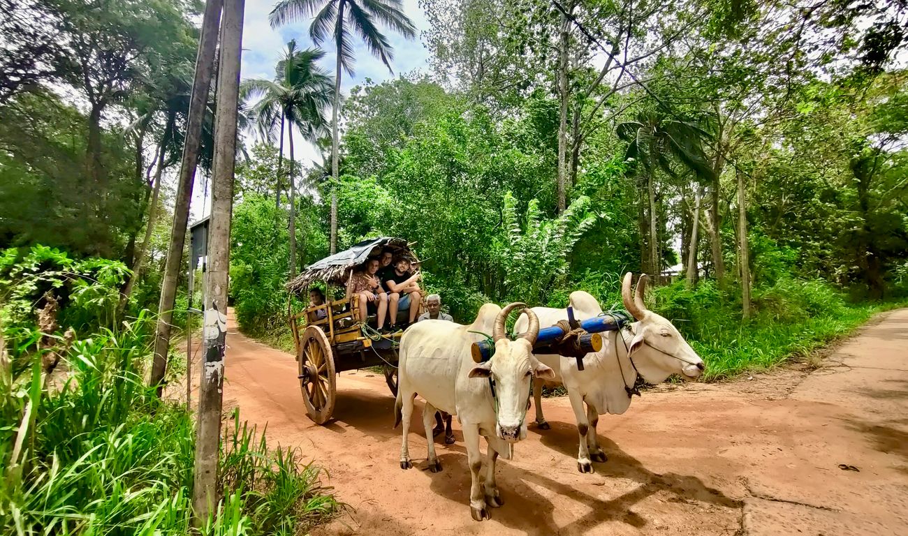 Village Tour Sigiriya Lion Rock