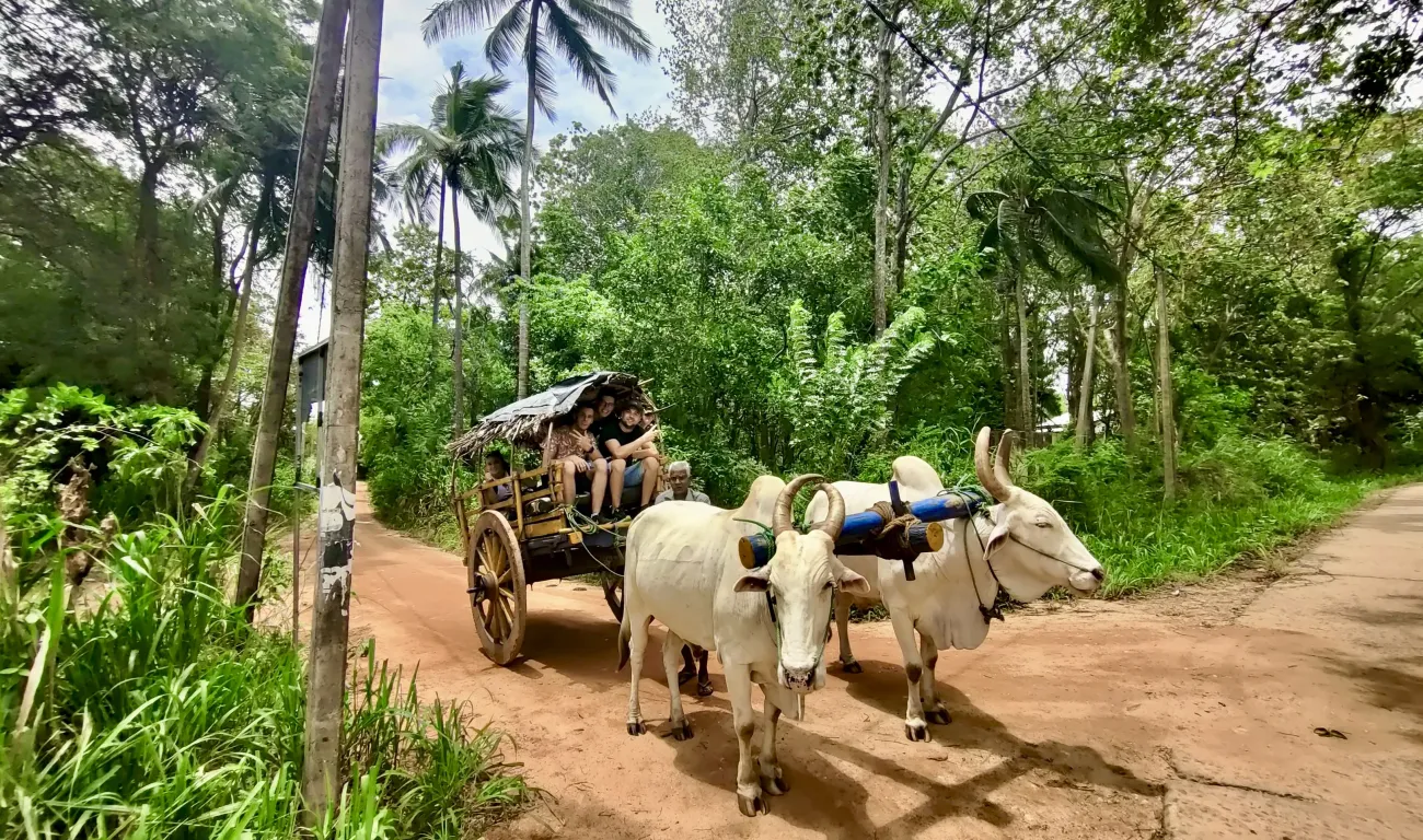 Village Tour Sigiriya Lion Rock Village Tour Sigiriya Lion Rock