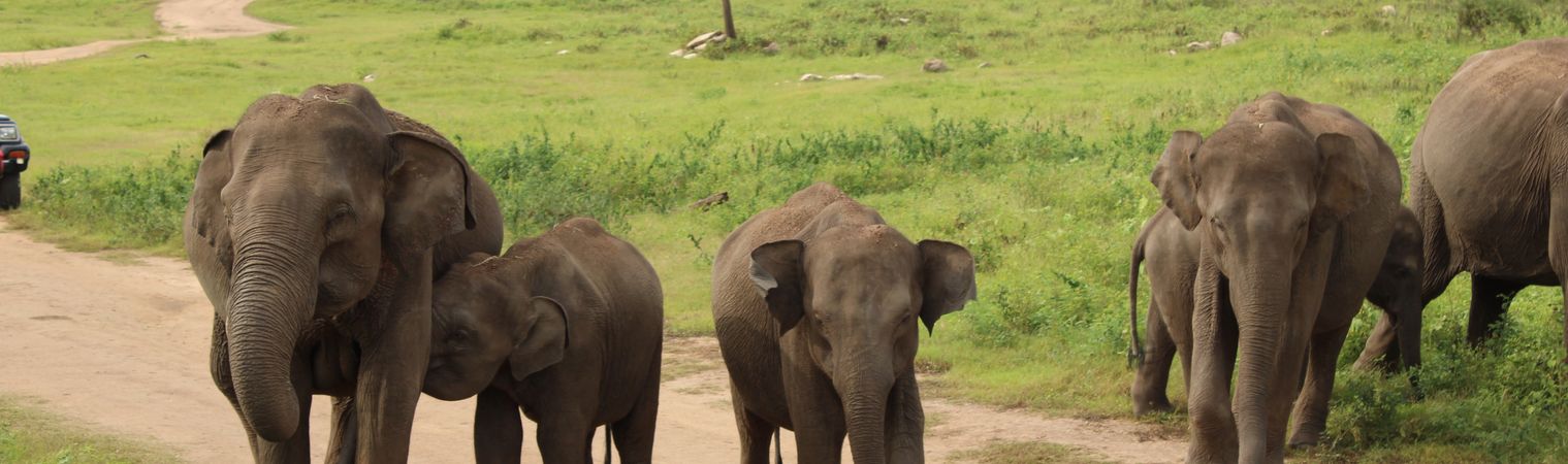 Sri Lanka