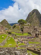 Peru