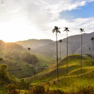 Rondreis Colombia met kinderen