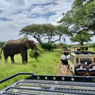 Rondreizen Tanzania