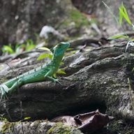 Costa Rica - off the beaten path