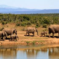 Kaapstad, safari en Victoria Falls - rondreis voor koppels