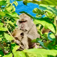 Rondreizen Bali Rondreizen Bali