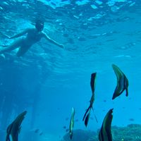 Snorkelen Bali