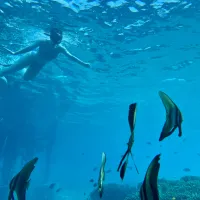 Snorkelen Bali Snorkelen Bali