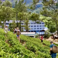 Theeplantage Sri Lanka Theeplantage Sri Lanka