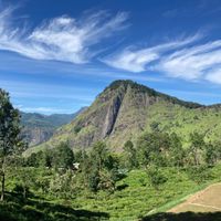 Natuur Sri Lanka