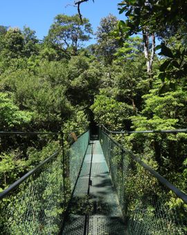 Cataratas Bijagua Lodge