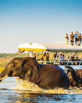 Chobe Safari Lodge