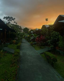Ara Ambigua Lodge