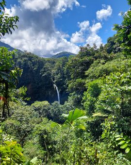 Guayabo Lodge