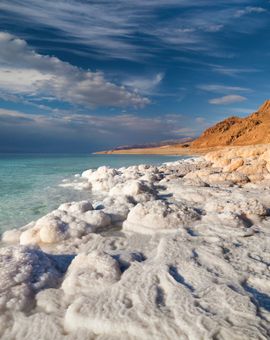 Dead Sea Spa Hotel