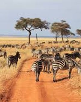 Lake Burunge Tented Lodge