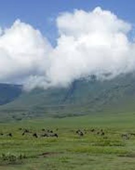 Ngorongoro Farm House