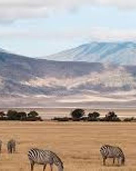 Baobab Tented Lodge