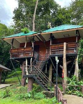 Khaosok Rainforest Resort