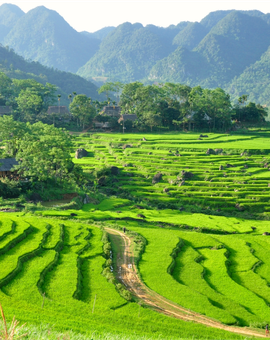 Hidden Charm Ninh Binh