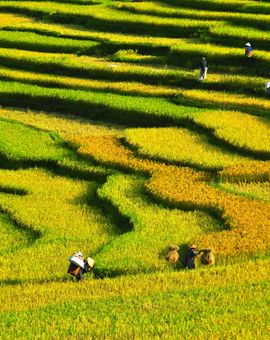 Pu Luong Valley Home