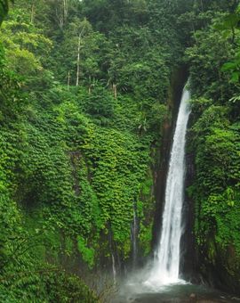 The 101 Malang