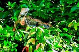 Van peuter tot tiener - hoe de reisbehoefte verandert per leeftijd