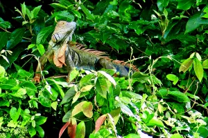 Van peuter tot tiener - hoe de reisbehoefte verandert per leeftijd