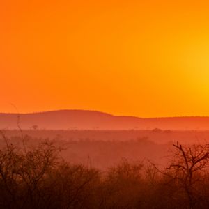 Zuid-Afrika