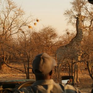 Vanuit Kruger naar Karongwe