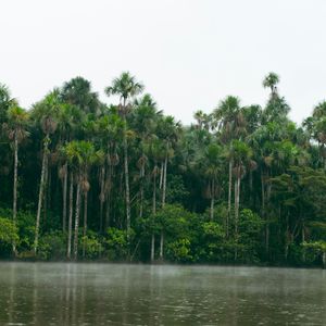 Sandoval lake & dieren spotten