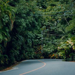 Manuel Antonio