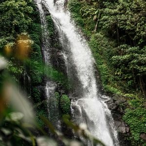 Pemuteran naar Ubud