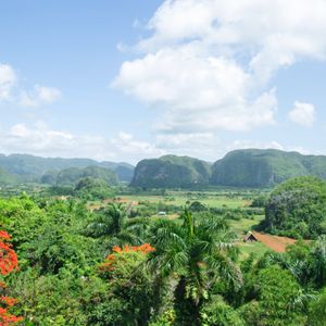 Viñales