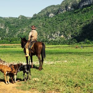 Viñales