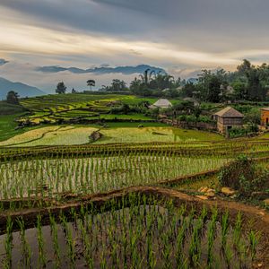 Terug naar Hanoi