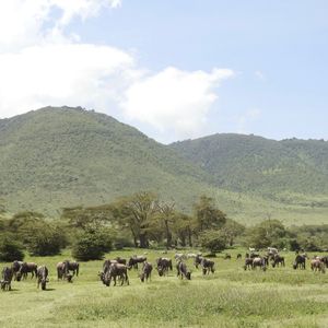 Ngorongoro Crater Tour