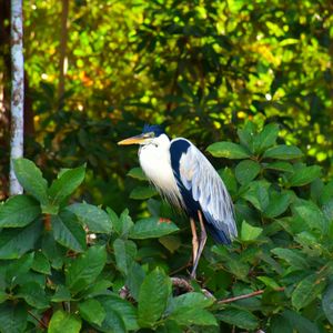 Sandoval lake & dieren spotten