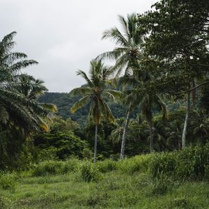 Aankomst in Bukit Lawang