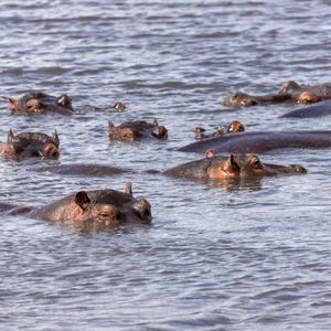 Ngorongoro Crater Tour