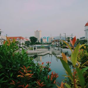 Stadstour Jakarta en Bogor