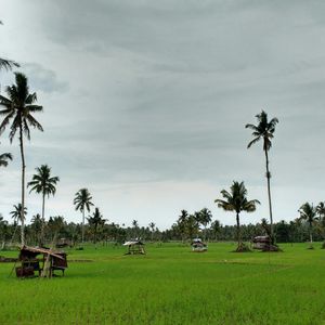 Aankomst in Bukit Lawang